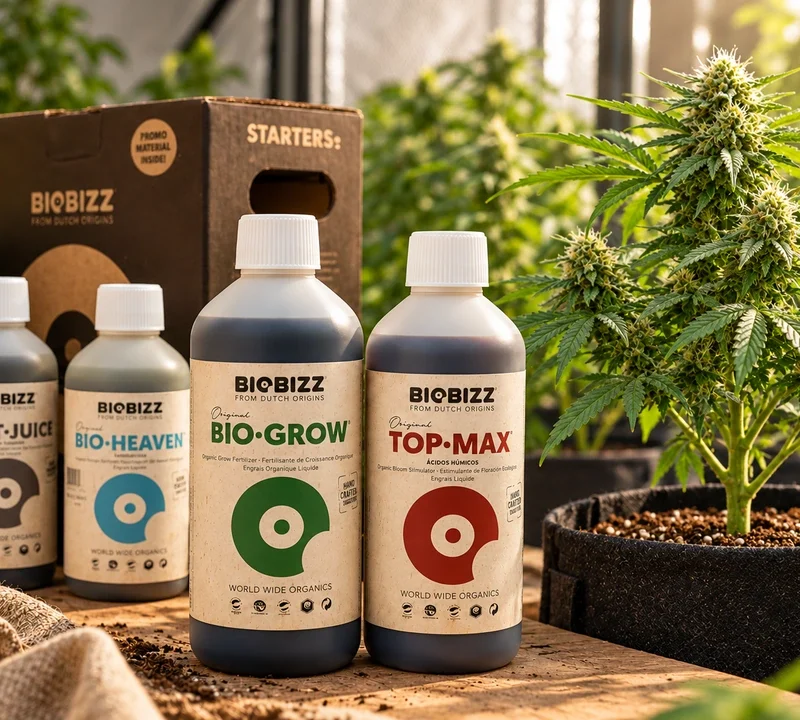 BioBizz-Dünger neben einer blühenden Cannabispflanze im Pflanztopf