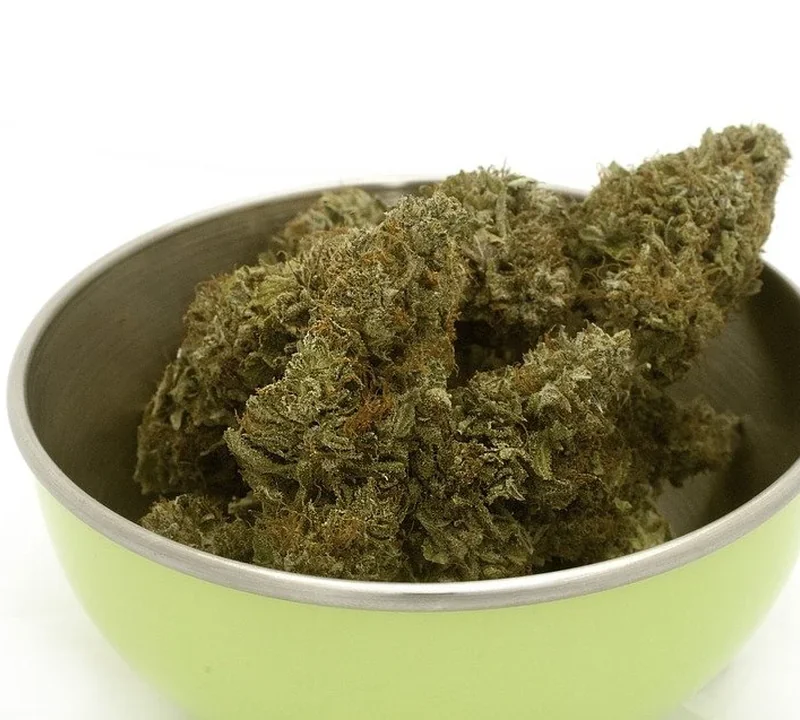 Hochwertiges Cannabis erkennen und beurteilen