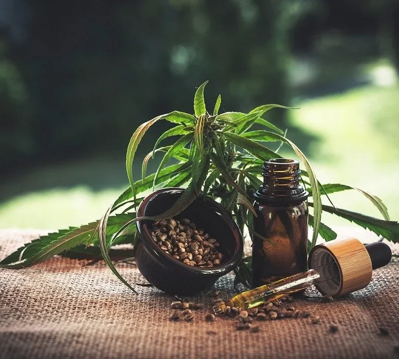 Hanfsamen, Hanf und CBD-Öl auf einem Tisch