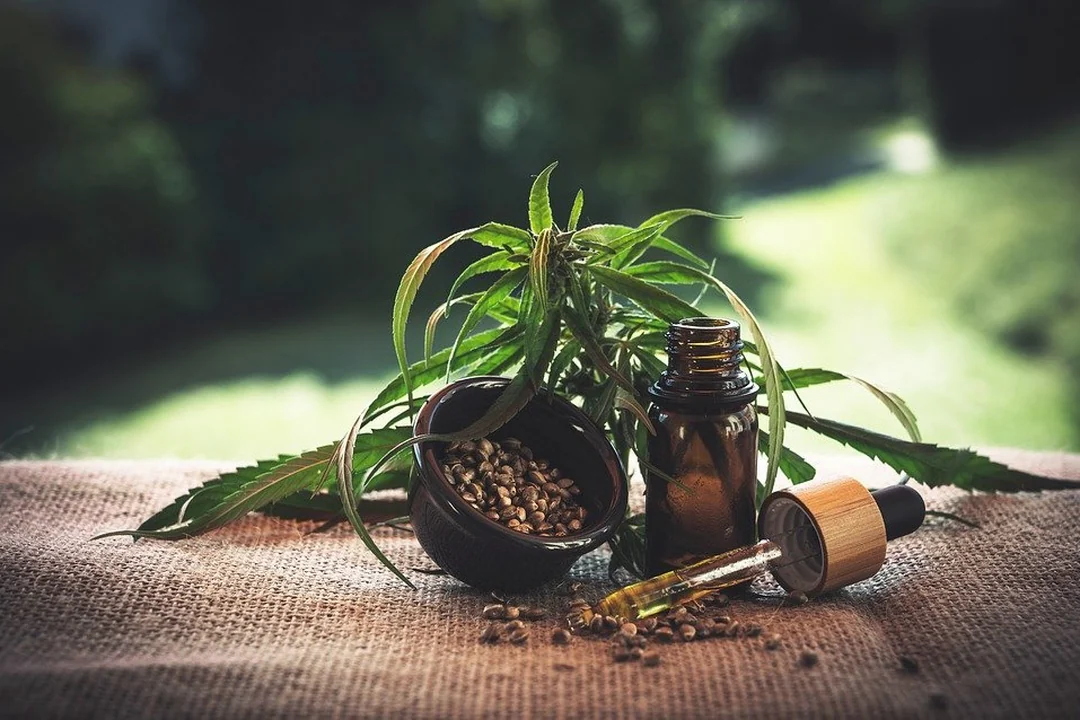 Hanfsamen, Hanf und CBD-Öl auf einem Tisch