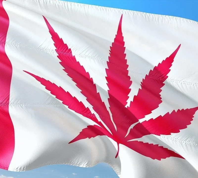 Kanadische Flagge mit Hanfblatt zur Rechtslage des Eigenanbaus