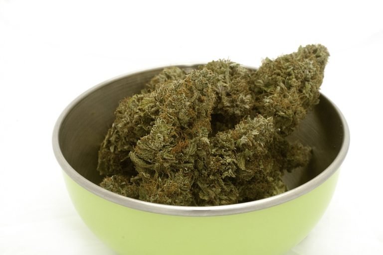Marihuanablüten in einer Aufbewahrungsschale für Cannabis