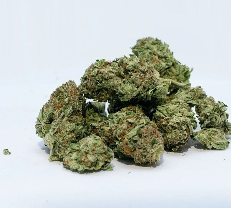 Cannabisblüten beim Aushärten
