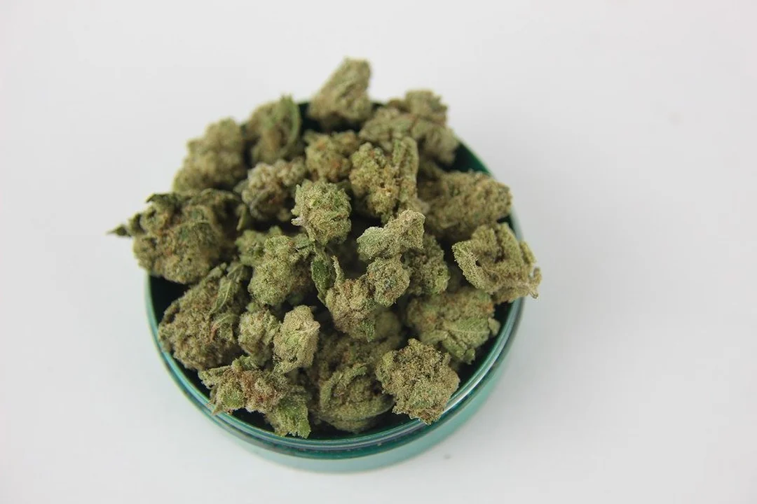 Cannabisblüten richtig lagern
