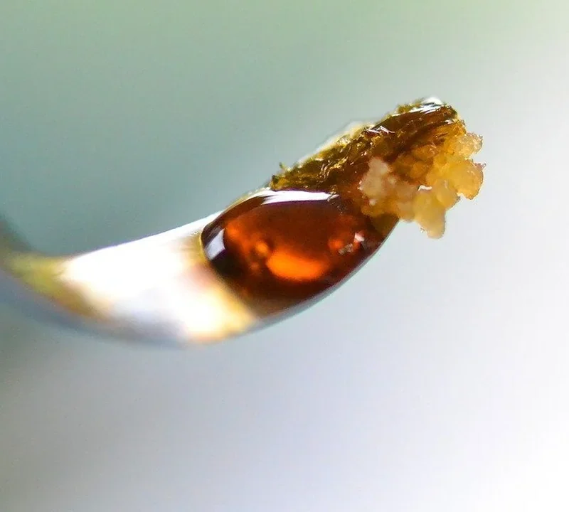 Cannabis weiterverarbeiten