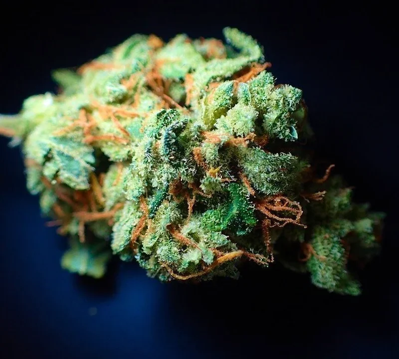 Cannabisprodukte und Wirkstoffe wie THC und CBD