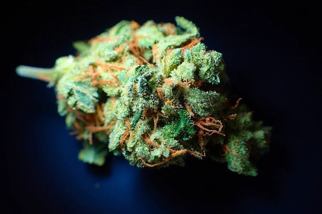 Cannabinoide THC und CBD in der Cannabisforschung