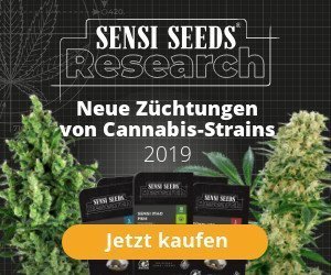 Sensi-Seeds-Banner »Research« neue Züchtungen von Cannabis-Strains 2019